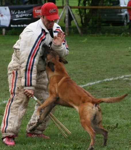 Budy de la vallée du grand loup