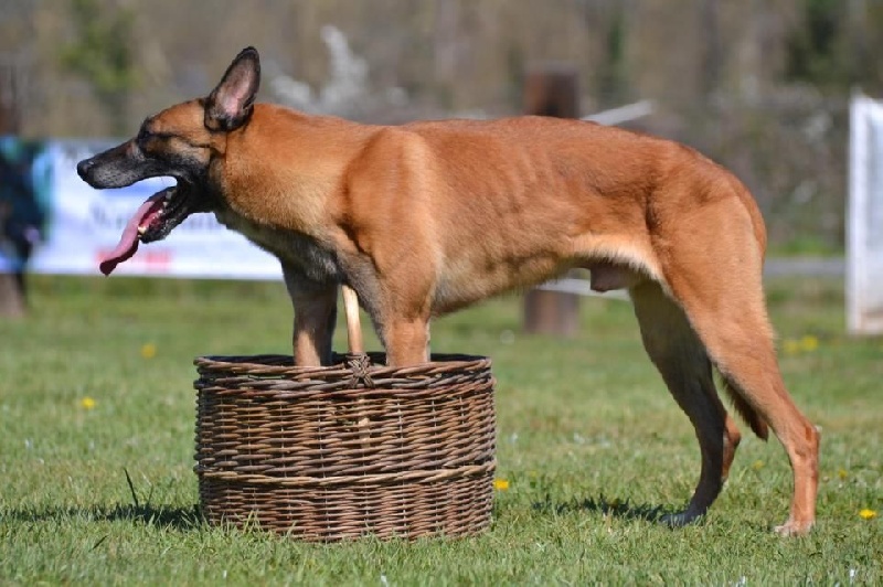 Budy de la vallée du grand loup